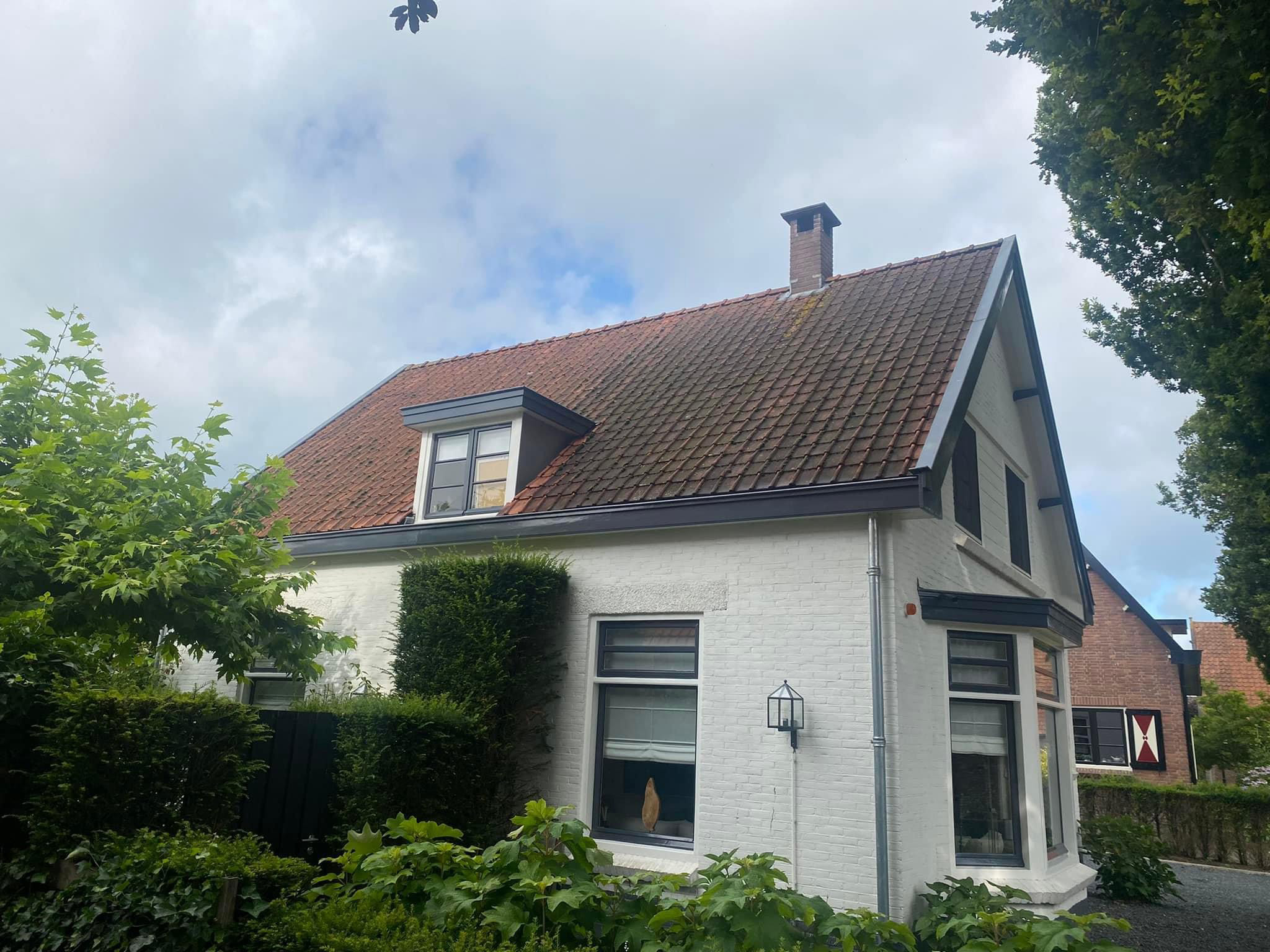Dakreiniging voor - project 1