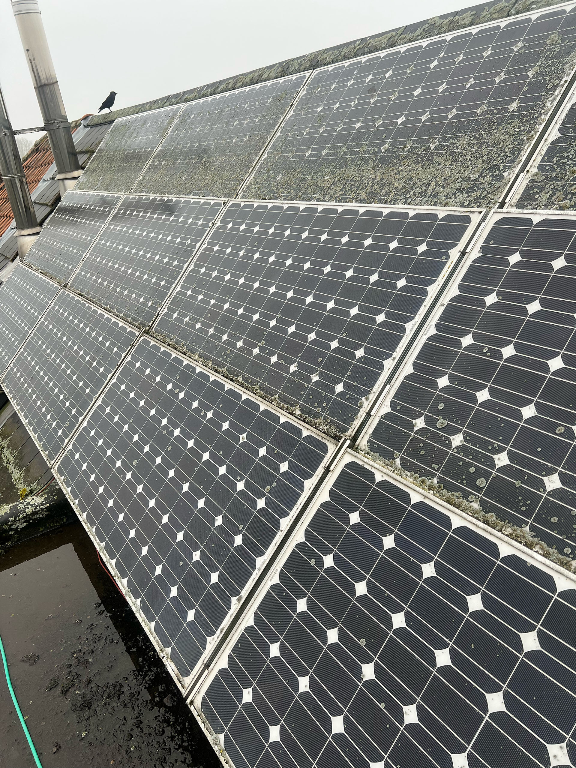 Zonnepanelen reinigen voor - project 2